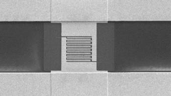 Elektronenmikroskopische Aufnahme des Chips mit asymmetrischen plasmonischen Antennen aus Gold auf Saphir.