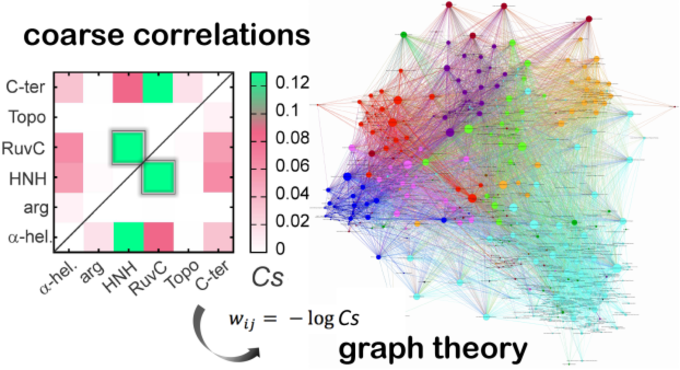 Graphentheorie zur Analyse von Signalübertragung bei Proteinen. Projekt von Giulia Palermo