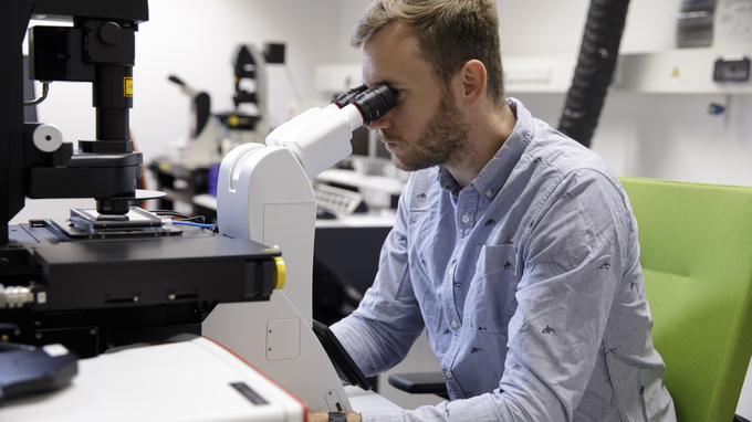 Benedikt Buchmann am Mikroskop
