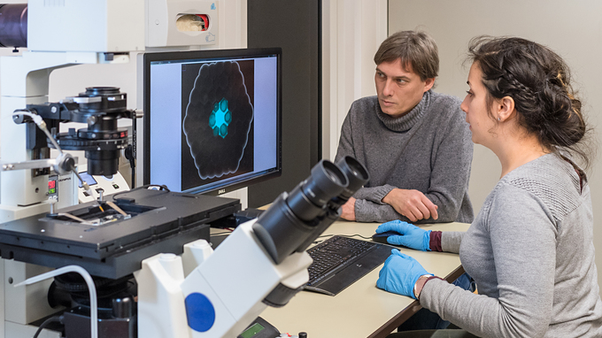 Erstautorin Aurore Dupin und Prof. Friedrich Simmel am Fluoreszenzmikroskop.
