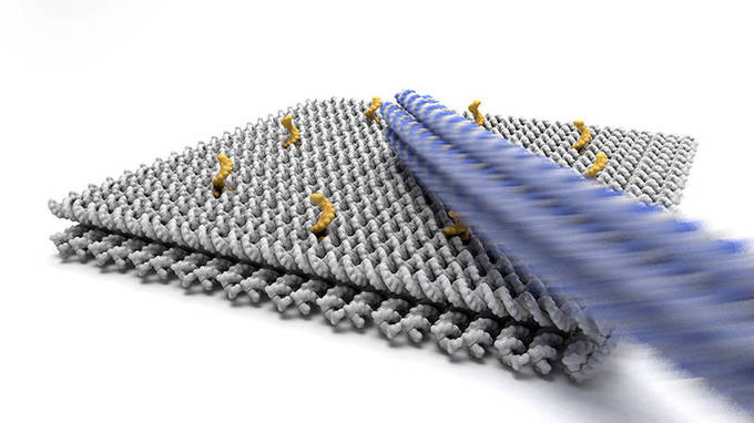 Elektrische Felder steuern den rotierenden Nano-Kran