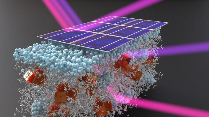Organische Solarzellen wandeln Sonnenlicht in elektrischen Strom um.