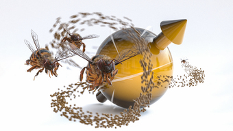 Quantum system behaves like flight strategies of bees