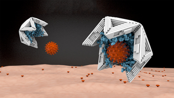 Auf der Innenseite mit Virus-bindenden Molekülen ausgekleidet, binden Nano-Halbschalen aus DNA-Material Viren an sich und machen sie damit unschädlich.