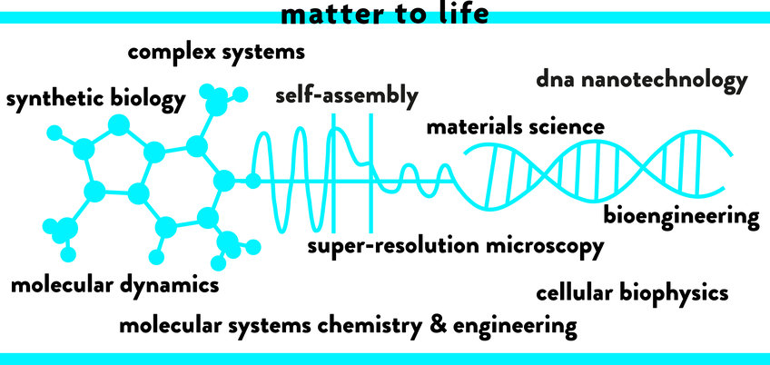 Matter to Life: complex systems, dna nanotechnology, synthetic biology self.assembly, materials science bioengineering, super-resolution microscopy, molecular dynamics, cellular biophysics, molecular systems chemistry & engineering