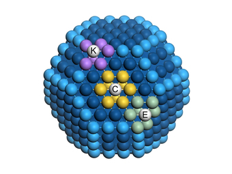 The different number of similar neighbors has an important influence on the catalytic activity of surface atoms of a nanoparticle.