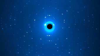 Diffraction image resulting from neutron scattering at the instrument BIODIFF