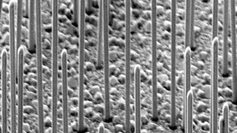 Gallium-arsenide nanowires on a silicon surface