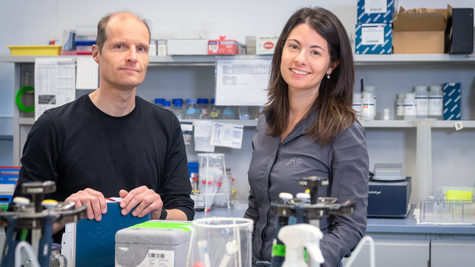 Prof. Ulrich Gerland and co-author Elena Biselli in their laboratory.