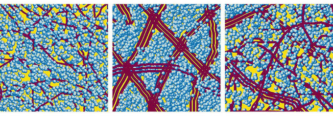 The inner structure of the solar cell's active layer