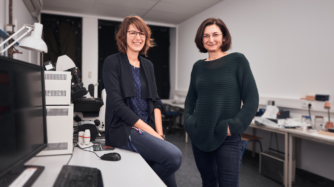 First author Angela Oberhofer and Dr. Zeynep Ökten in the microscope room.